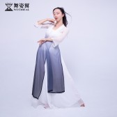 古典舞蹈服女飘逸身韵纱衣中国风现代舞演出服装中国舞练功服套装QC3179