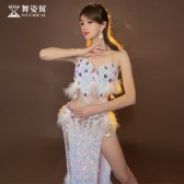 舞姿翼肚皮舞表演出练功服装女2023新款长裙套装WZY012